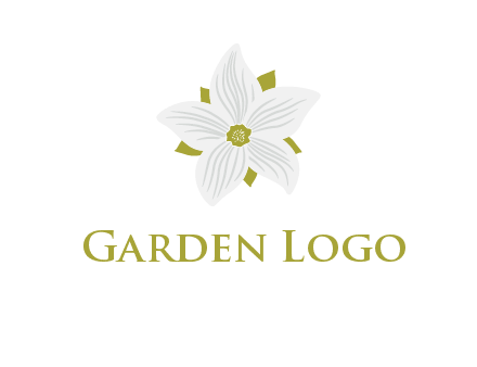 Madonna lily flower logo