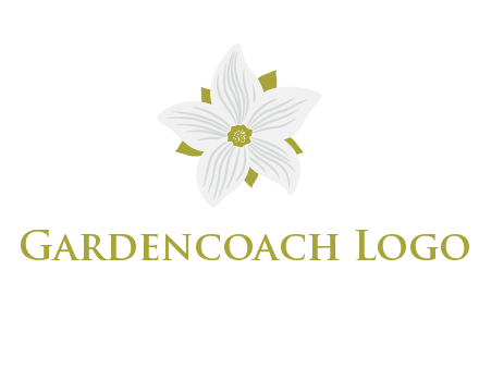 Madonna lily flower logo