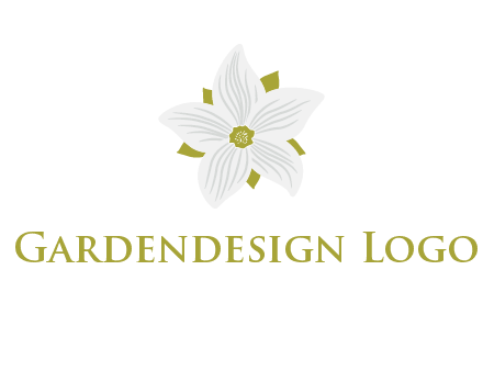Madonna lily flower logo