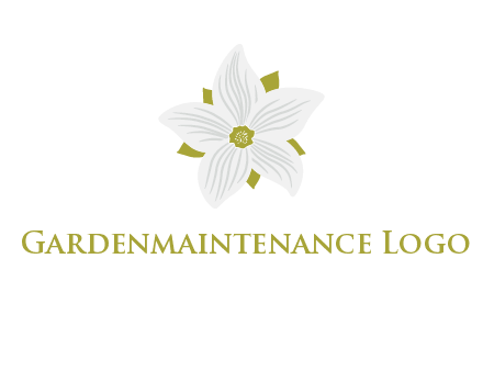 Madonna lily flower logo