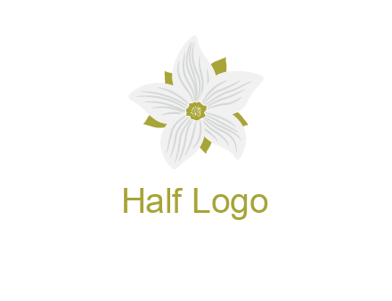 Madonna lily flower logo