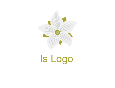 Madonna lily flower logo