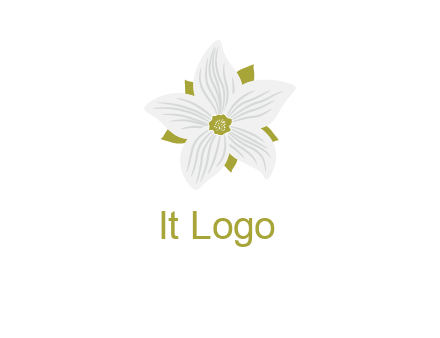 Madonna lily flower logo