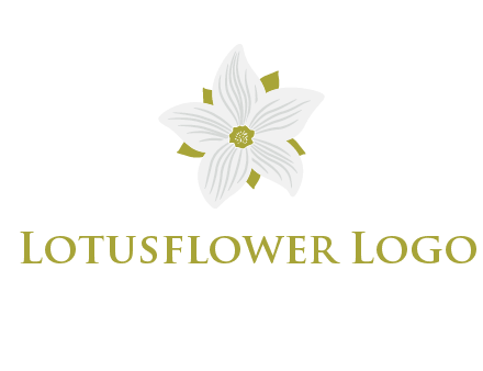 Madonna lily flower logo