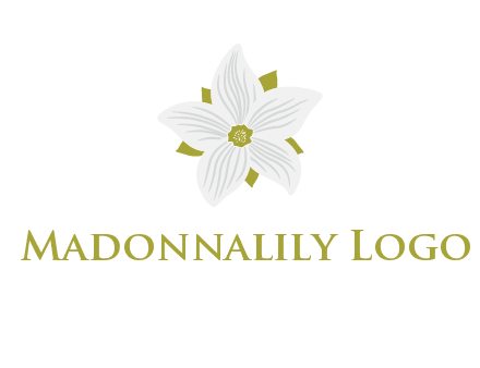 Madonna lily flower logo