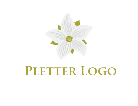 Madonna lily flower logo
