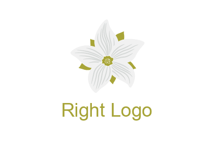 Madonna lily flower logo