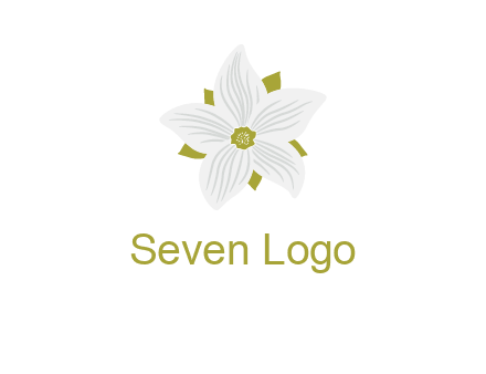Madonna lily flower logo