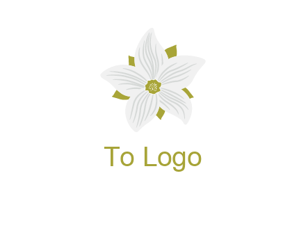 Madonna lily flower logo