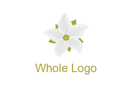 Madonna lily flower logo