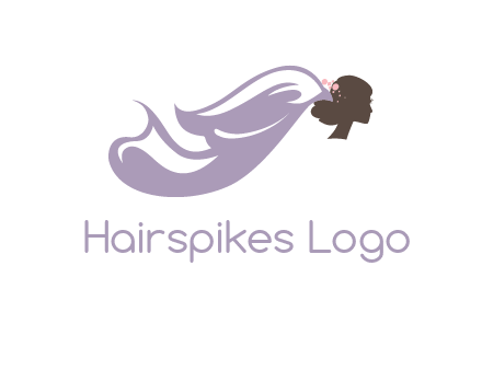 bride with wedding veil logo