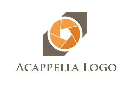 swanky photography logo generator