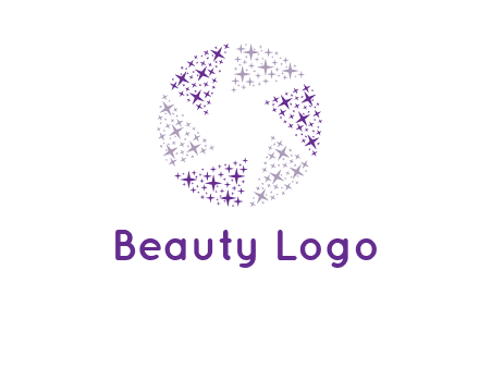 shining stars forming camera shutter logo