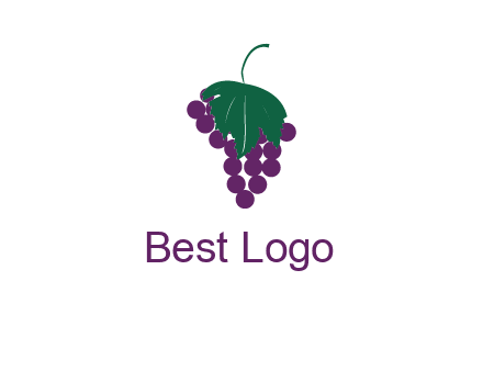 grapes with leaf icon
