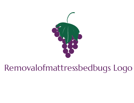 grapes with leaf icon