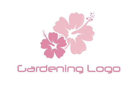 hibiscus flowers logo