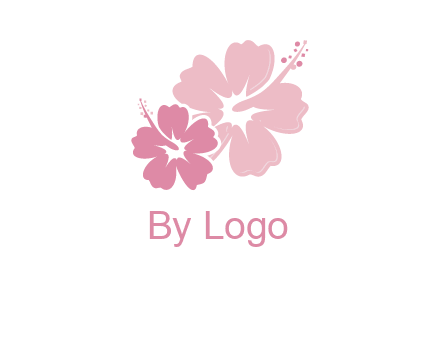 hibiscus flowers logo
