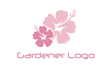 hibiscus flowers logo
