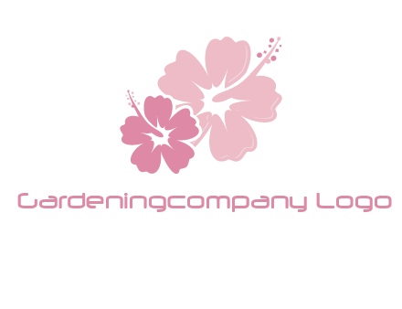 hibiscus flowers logo