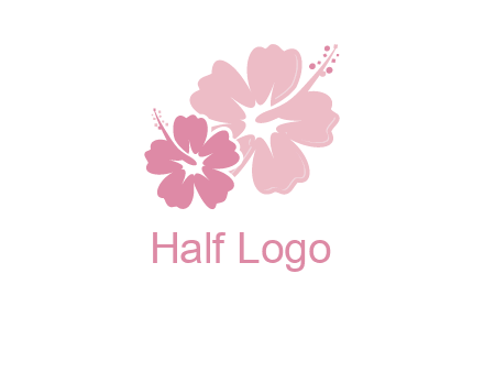 hibiscus flowers logo