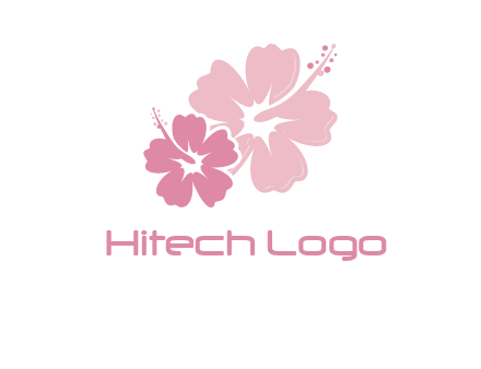 hibiscus flowers logo