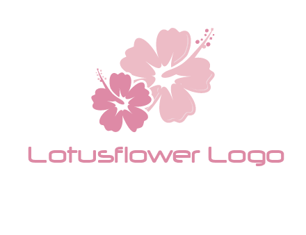 hibiscus flowers logo