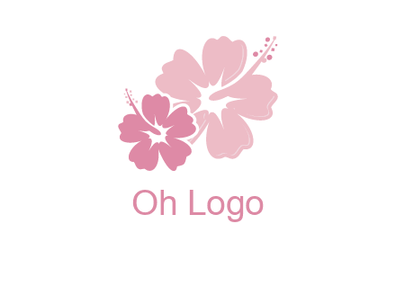 hibiscus flowers logo
