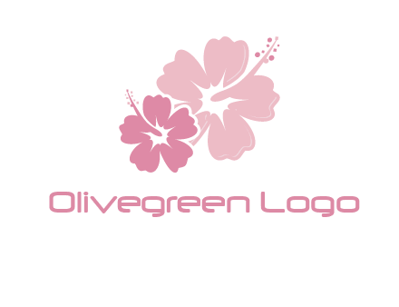 hibiscus flowers logo