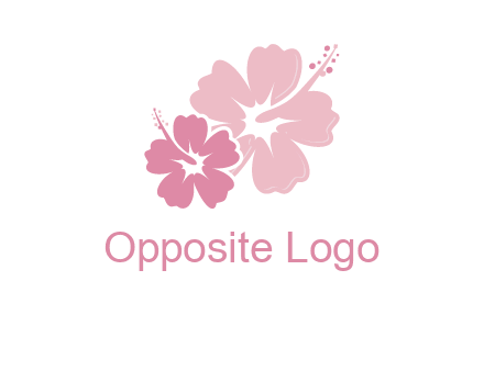 hibiscus flowers logo