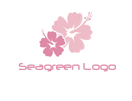 hibiscus flowers logo