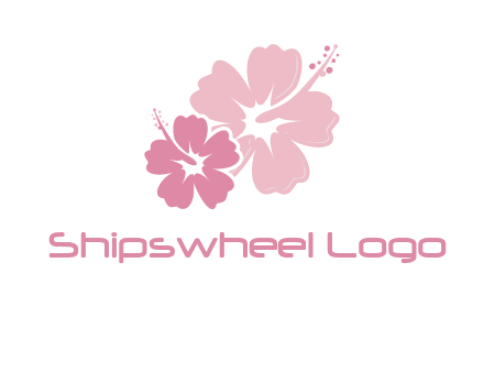 hibiscus flowers logo