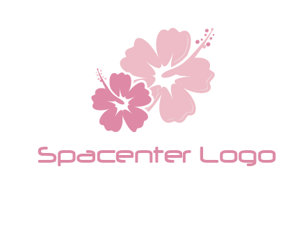 hibiscus flowers logo