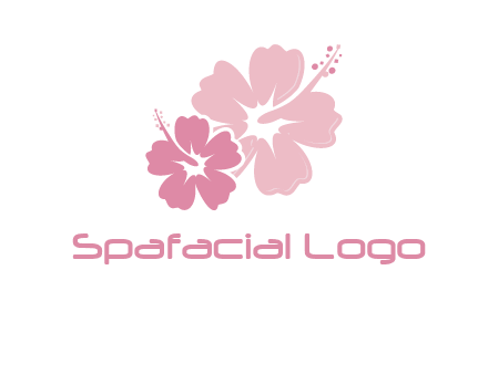 hibiscus flowers logo