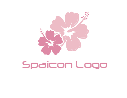hibiscus flowers logo