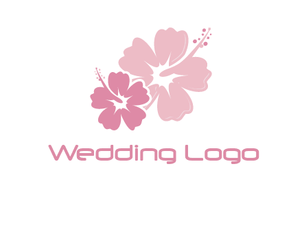hibiscus flowers logo