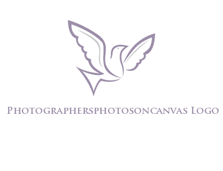 abstract bird logo