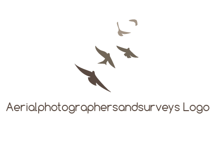 flying birds logo