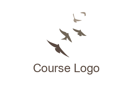 flying birds logo