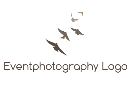 flying birds logo