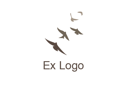 flying birds logo