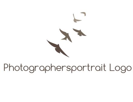 flying birds logo