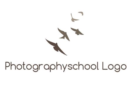 flying birds logo