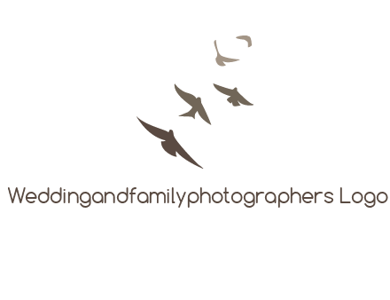 flying birds logo