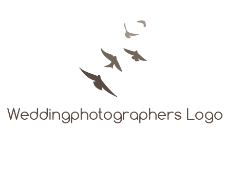 flying birds logo