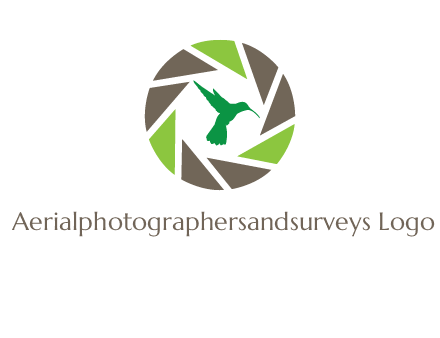 bird inside camera shutter logo
