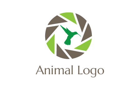 bird inside camera shutter logo