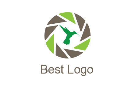 bird inside camera shutter logo