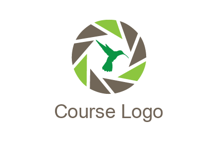bird inside camera shutter logo