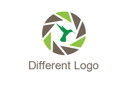 bird inside camera shutter logo