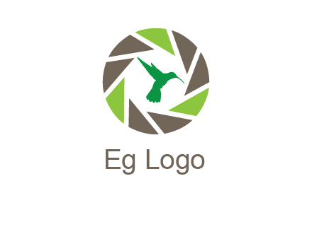bird inside camera shutter logo